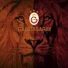 Olcay35
